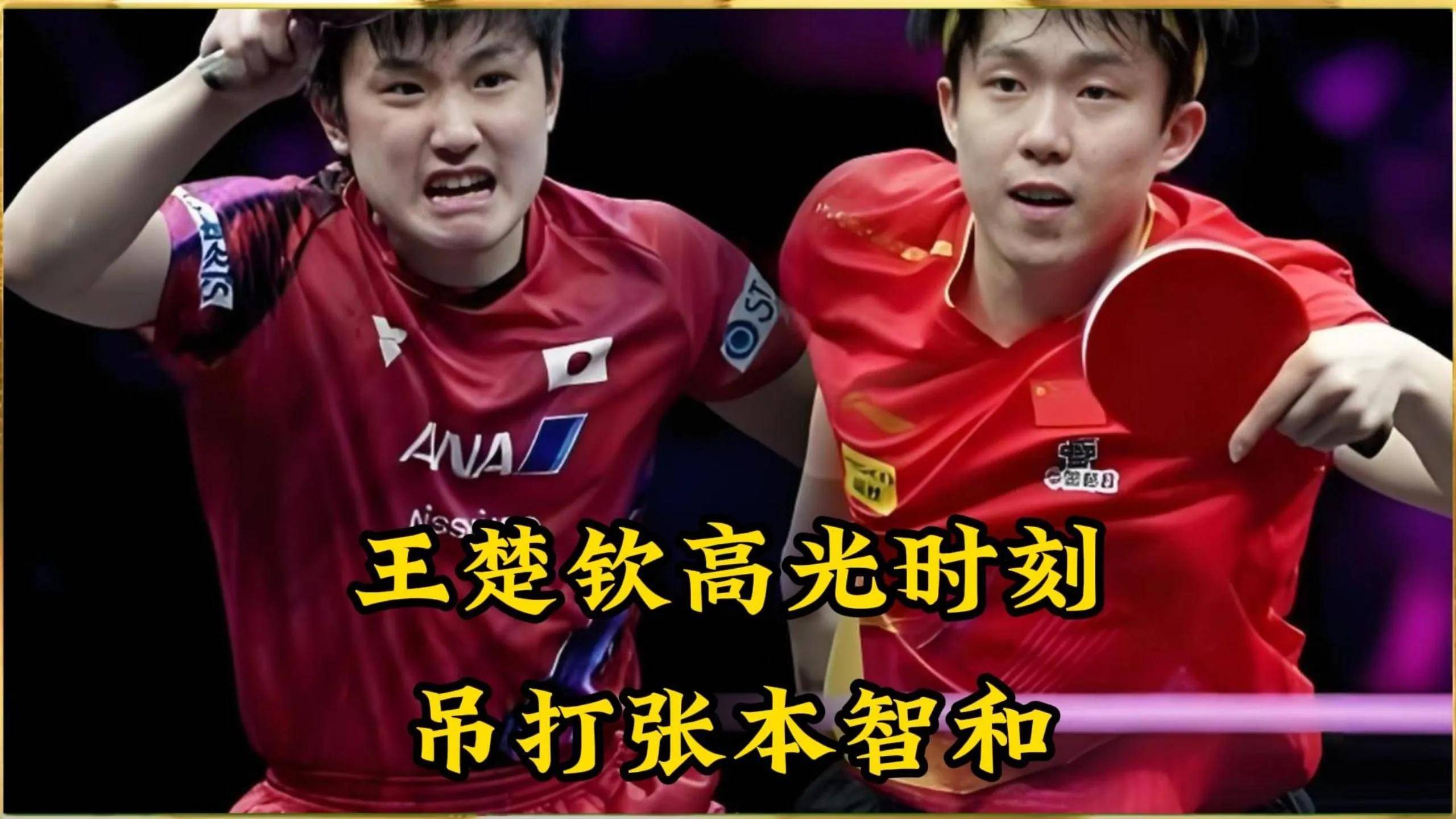 波兰队险胜瑞典队，张本智和统治全场