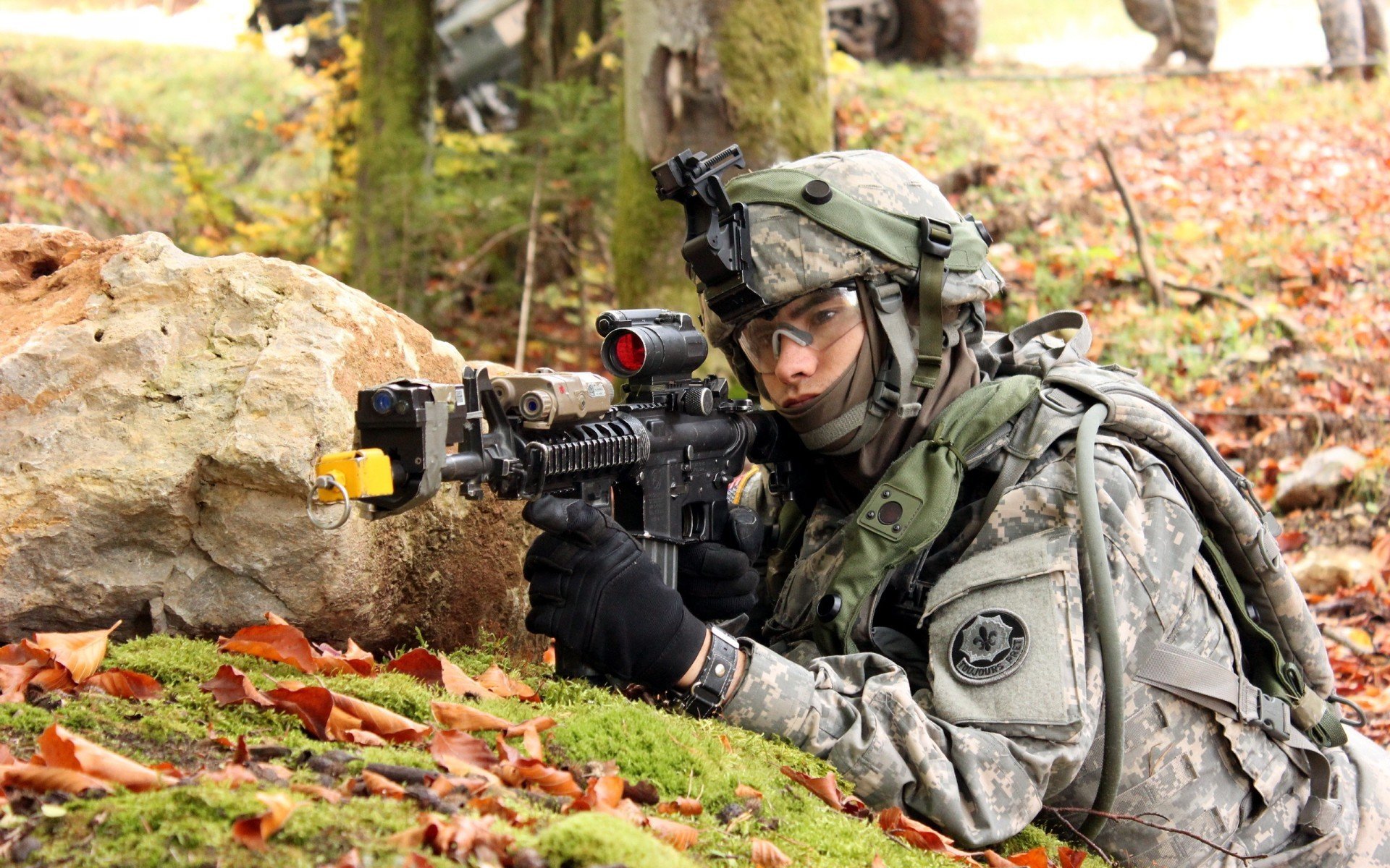 开云体育app-当狼群封锁国王，总冠军却在芝加哥诞生，尼古拉·武切维奇的终极接管