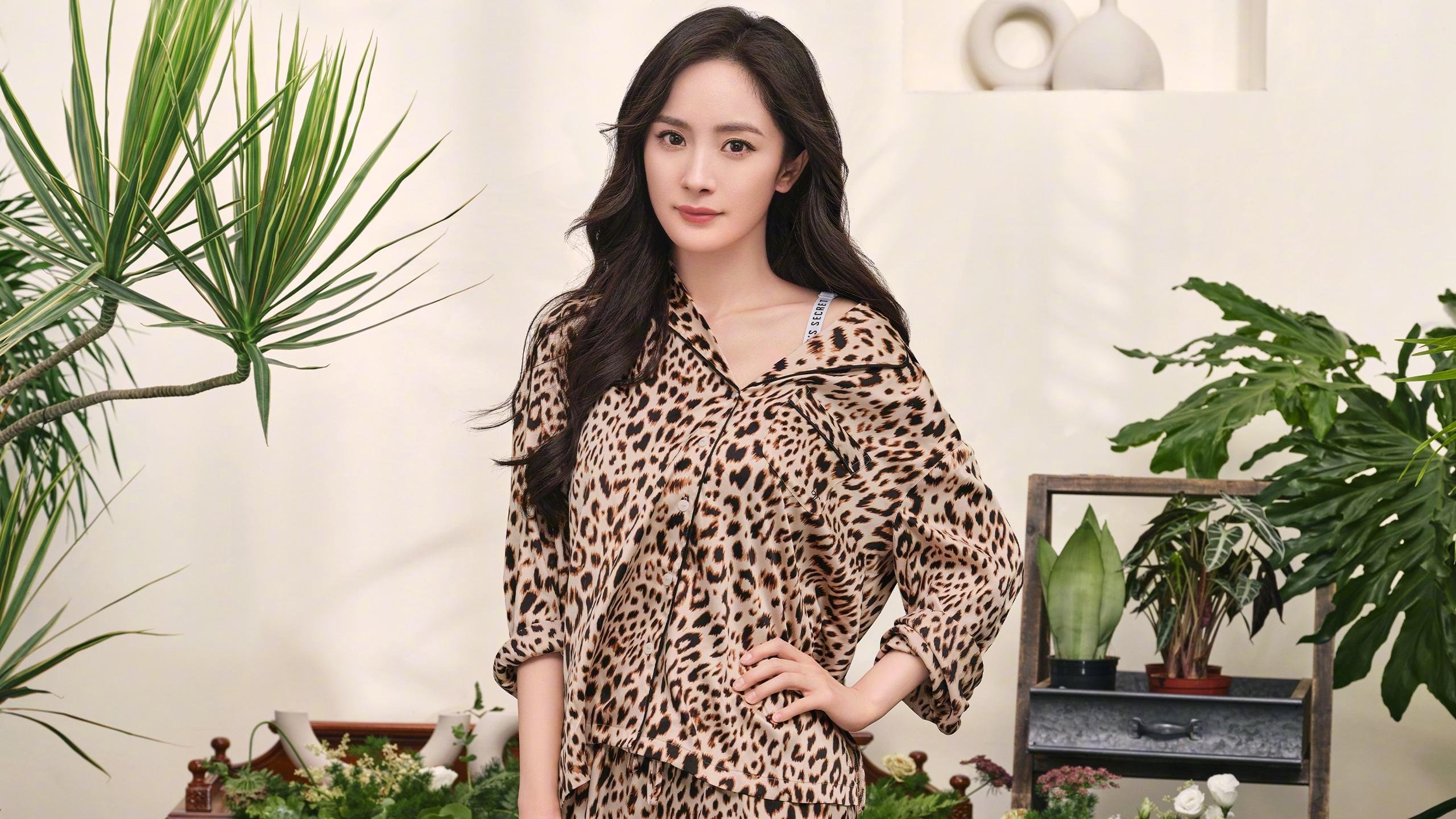 独舞与合奏,当马克西的48分之夜奏响深圳横扫山西的狂想曲