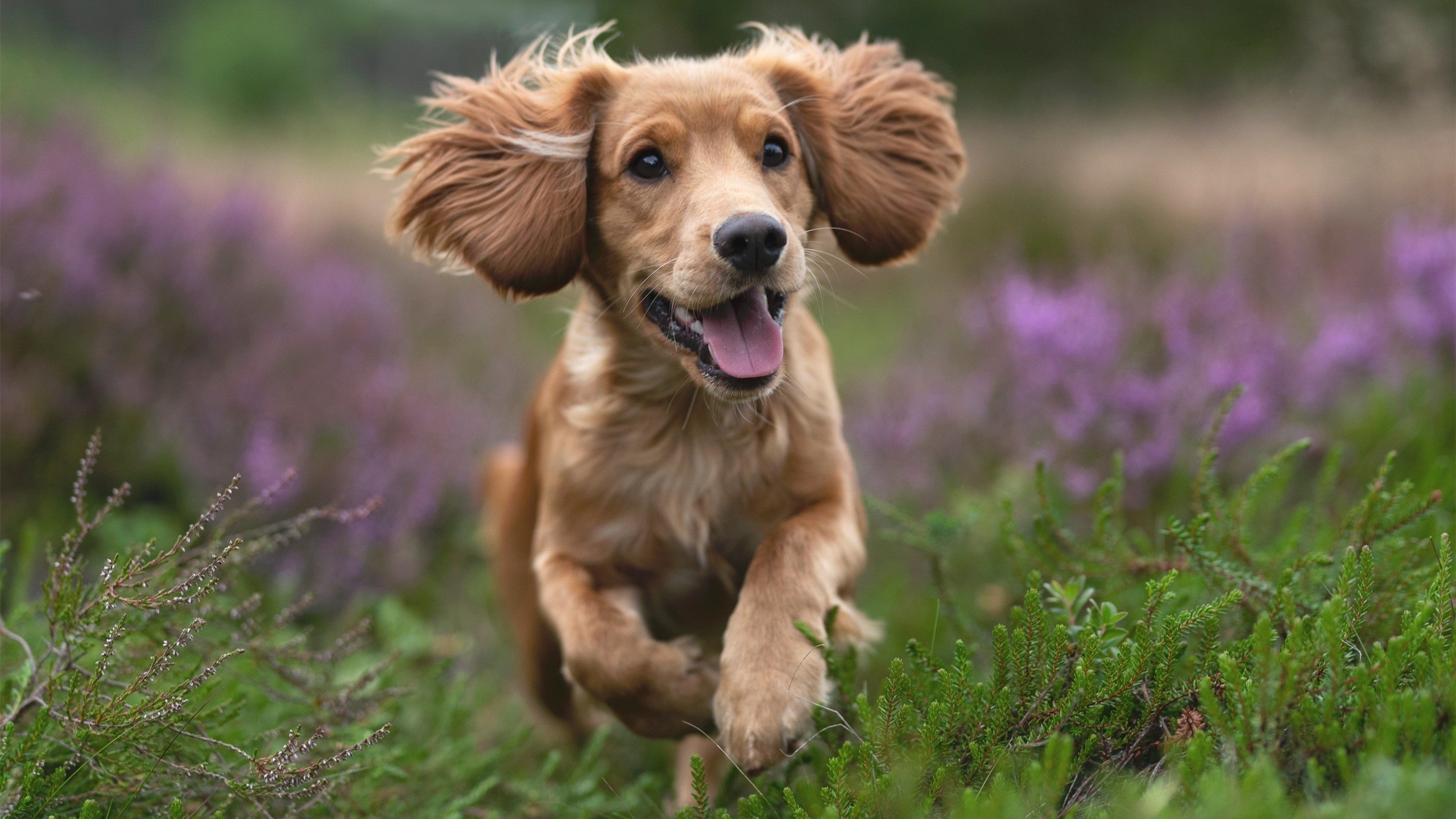 乔治生涯唯一之夜，那个瞬间，他成为自己故事的主人公