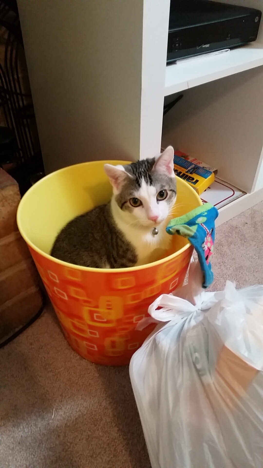 开云sport-维京战吼与天鹅湖的玫瑰，迪巴拉加时赛终结点亮奥斯陆之夜