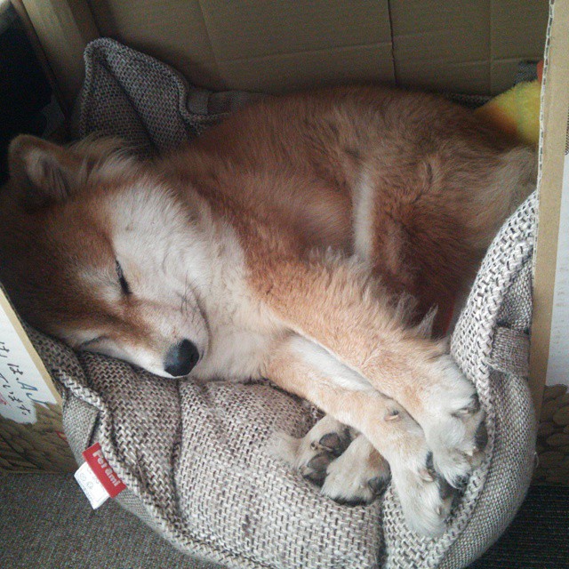 开云体育平台APP-破冰船，米切尔在掘金铁幕下的极限突围