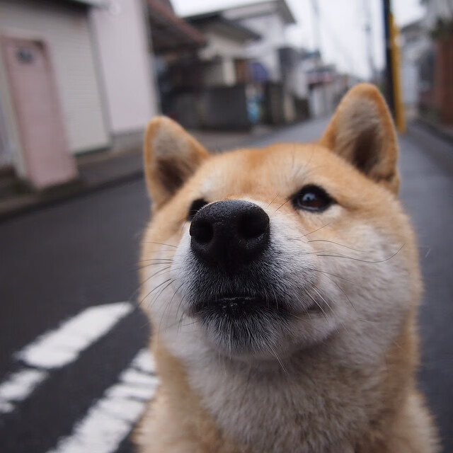 开云体育2026-约基奇如库里附体！掘金决胜局运筹帷幄带走公牛