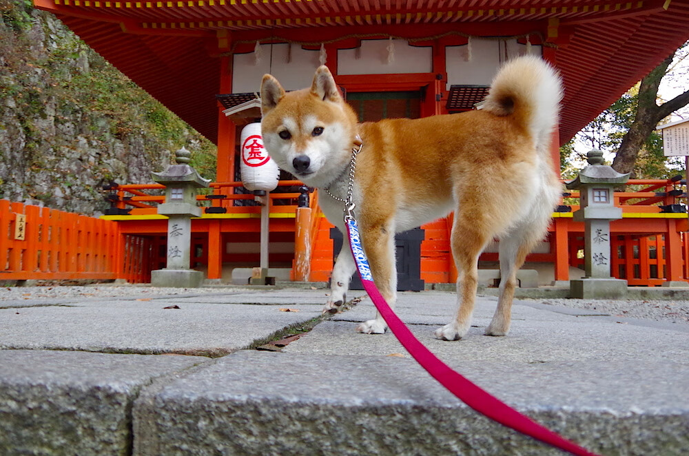 史上唯一,当永恒之城遇见千湖之国,托尼铸就无法复刻的传奇之夜