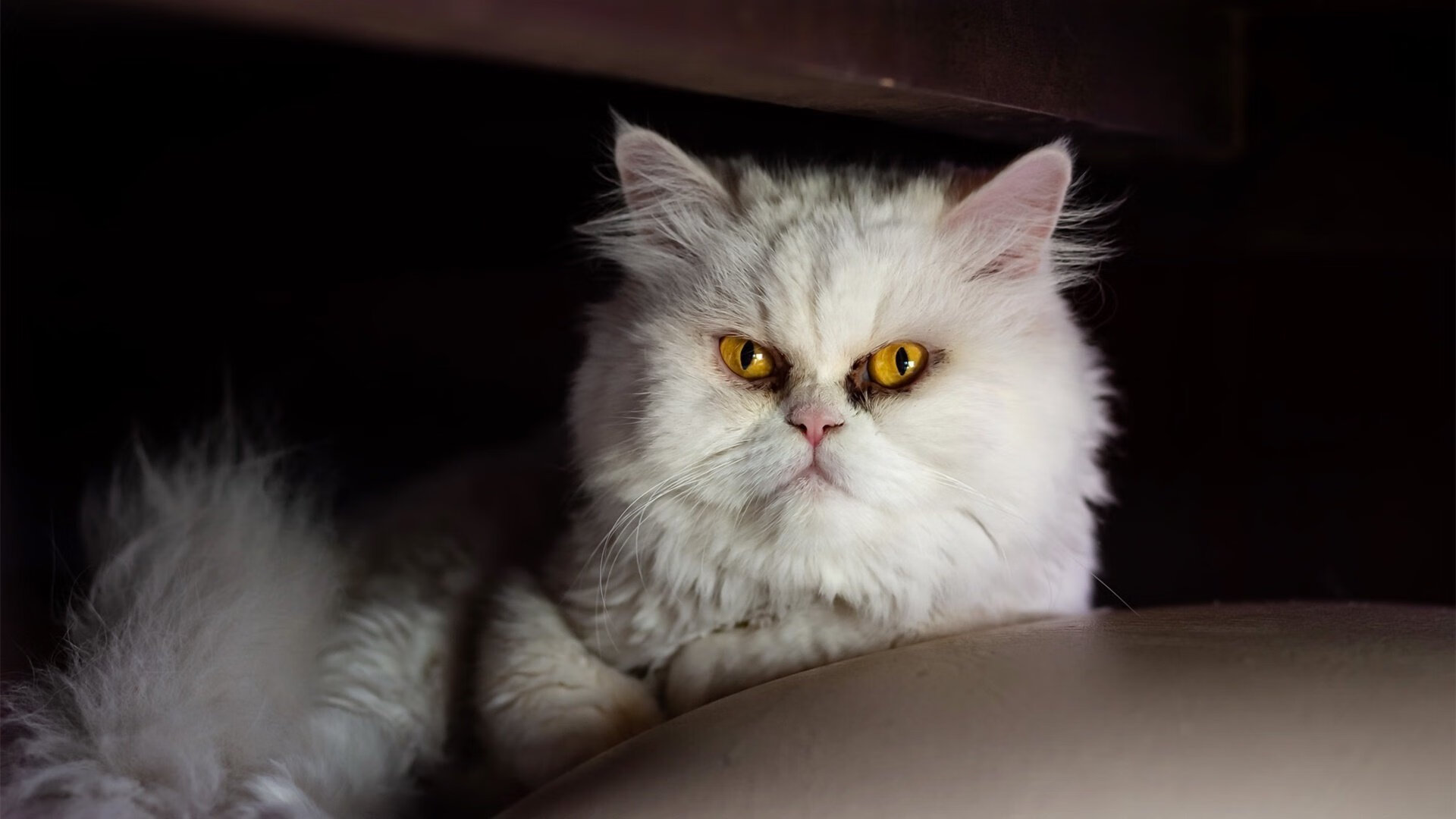 沉默的巨塔，金玟哉一夫当关，加纳闪电劈开希腊卫城墙