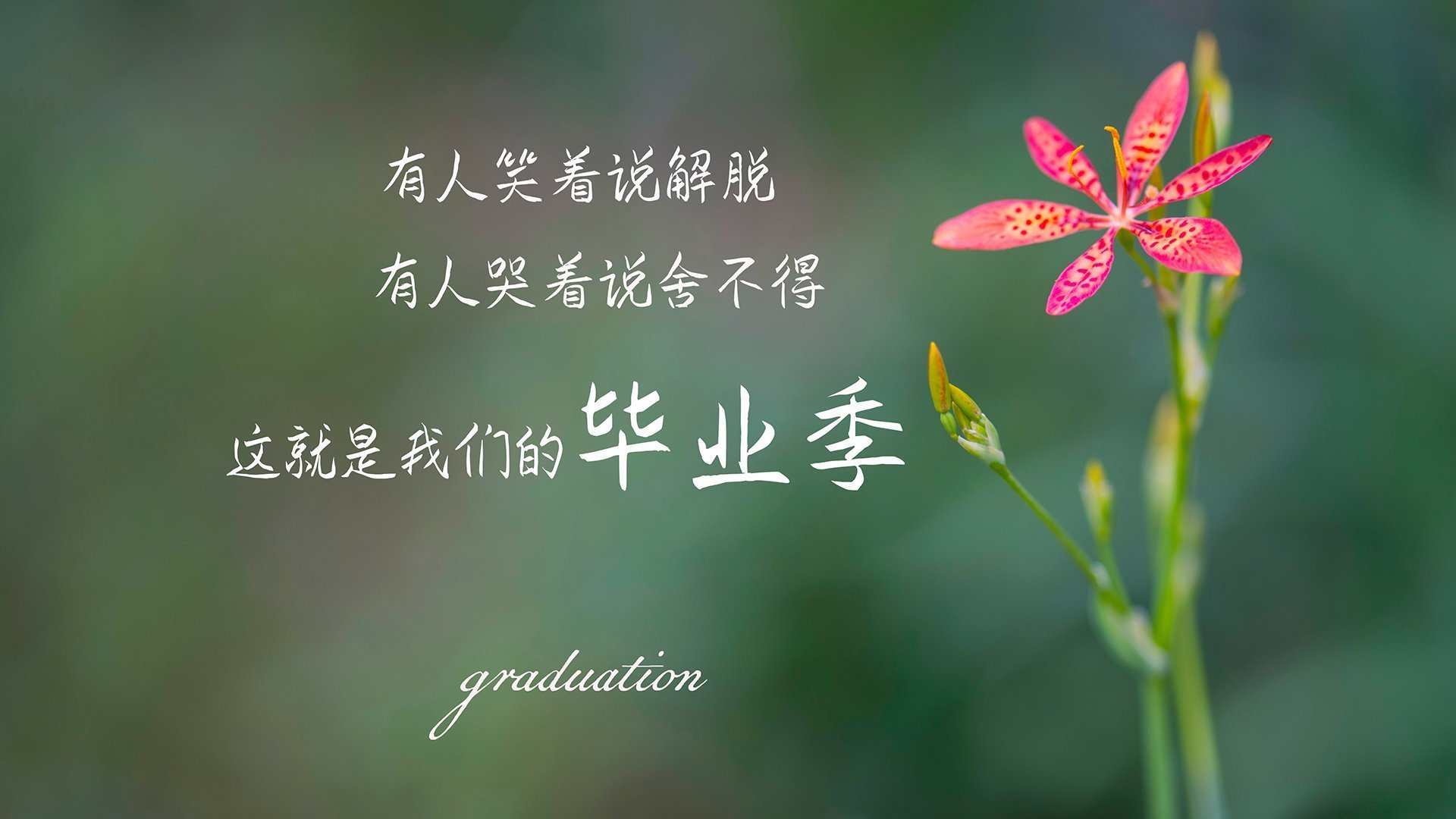 开云体育官网-奇迹的另一面，当逆转与接管成为同一种品质
