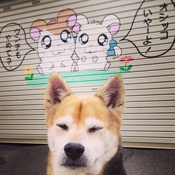 当高卢雄鸡在铁幕前冻僵，一场被雨水和维尼修斯改写的足球史诗