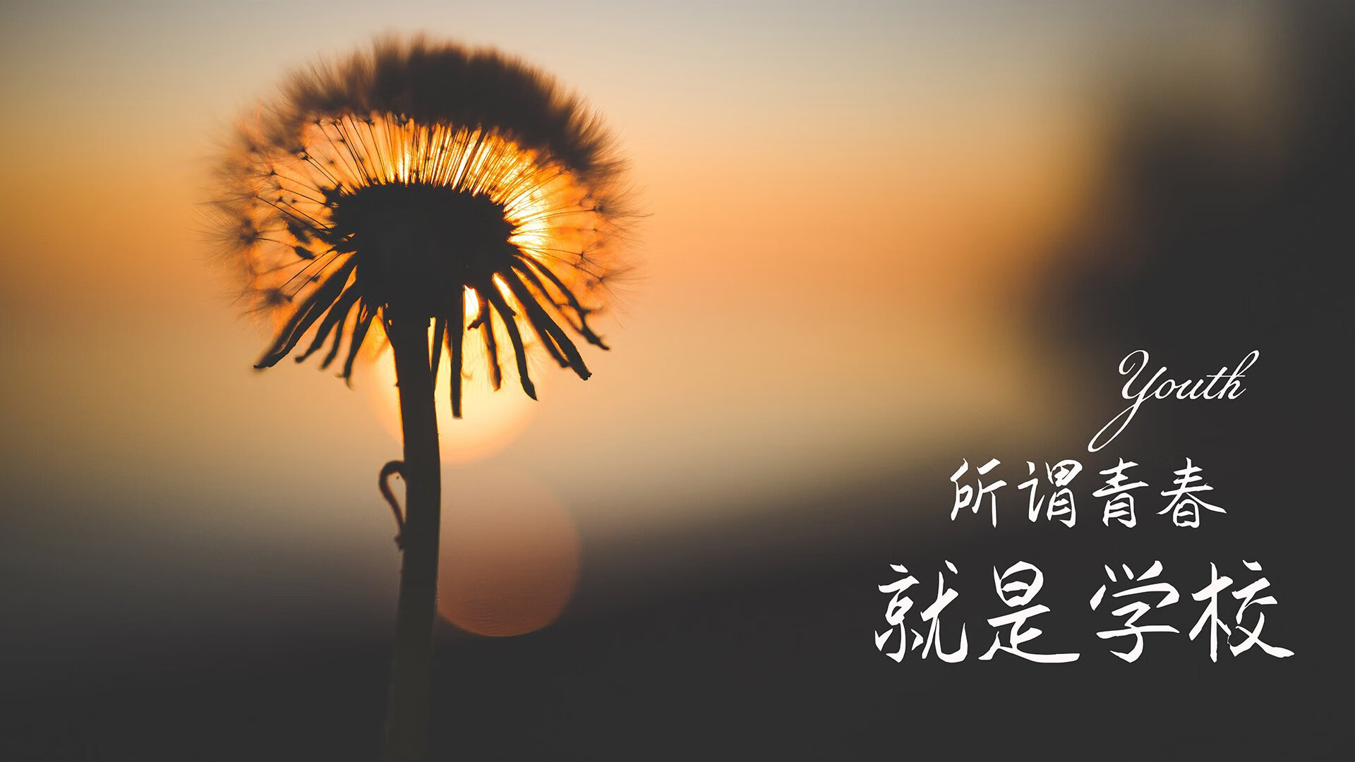 开云体育登录-沙漠风暴席卷曼谷，贝林厄姆一剑封喉，阿联酋补时绝杀演绎B组唯一剧本