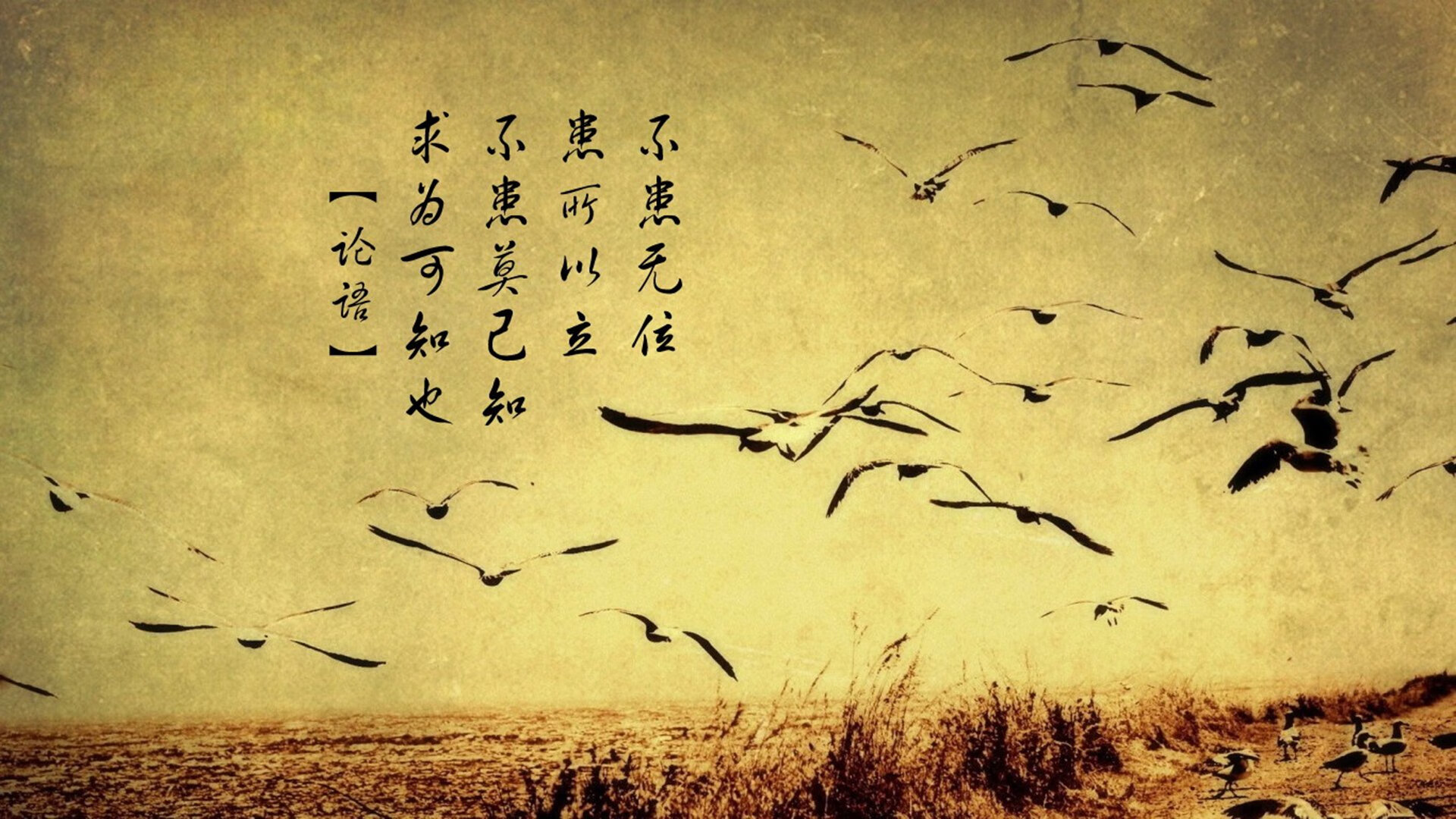 绝境狂澜!萨卡压哨一击定江山,厄瓜多尔横扫乌兹别克斯坦—2026世界杯强强对话上演神剧情