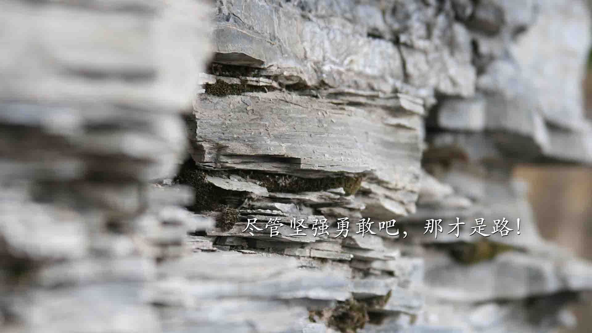开云体育平台APP-安第斯之矛破沙漠铁壁，2026世界杯G组，一场关于唯一性的战术革命与拉什福德的封神之夜