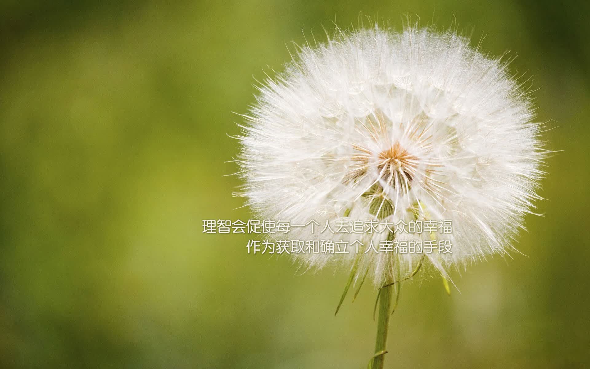 唯一性的胜利,当贝林厄姆的魔法,为德国战车注入全新灵魂